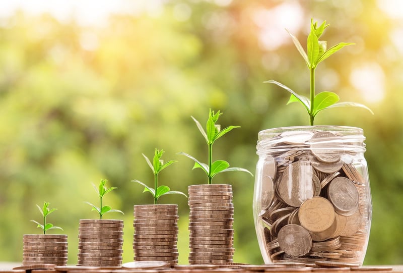 Investment Insights